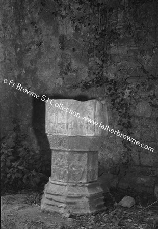 DUNSANY CASTLE FONT IN ABBEY